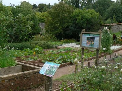 Натиснете за да видите снимката уголемена