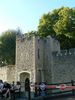 P1030191.JPG