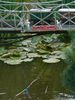 P1010651.JPG
