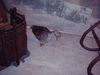 IMG00119.JPG