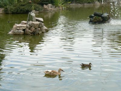 Натиснете за да видите снимката уголемена