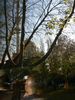 P1010656.JPG