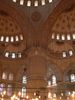 P1010771.JPG