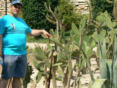 Натиснете за да видите снимката уголемена