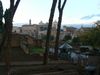 P1010332.JPG