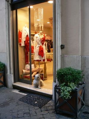 Натиснете за да видите снимката уголемена