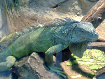 Натиснете за да видите снимката уголемена