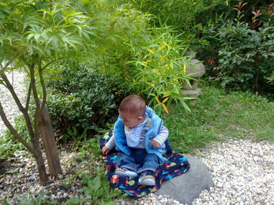 Натиснете за да видите снимката уголемена