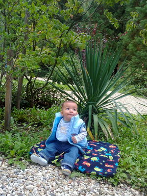 Натиснете за да видите снимката уголемена