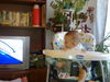 07092009275.jpg