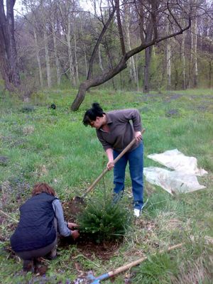 Натиснете за да видите снимката уголемена