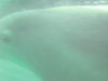 IMG00100.JPG